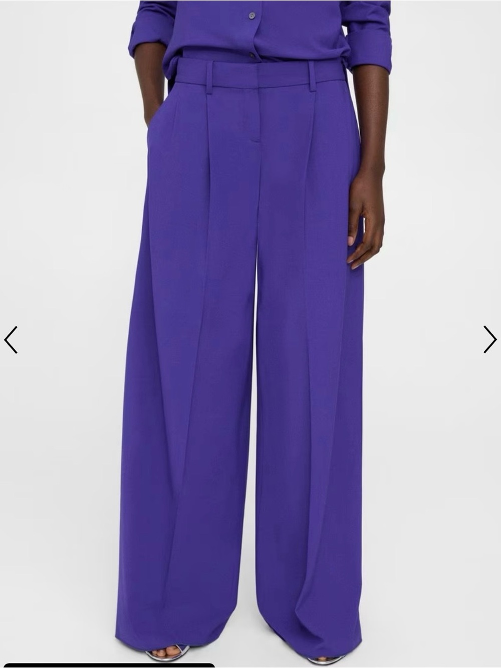 Theory Low Rise Double-Pleat Good Wool pants